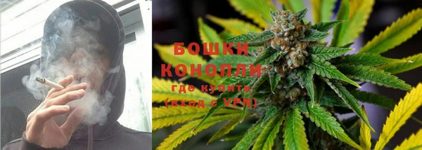 каннабис Белокуриха