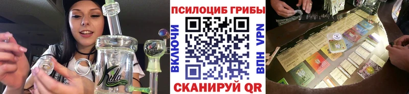 сайты даркнета телеграм  Белый  Псилоцибиновые грибы мицелий 